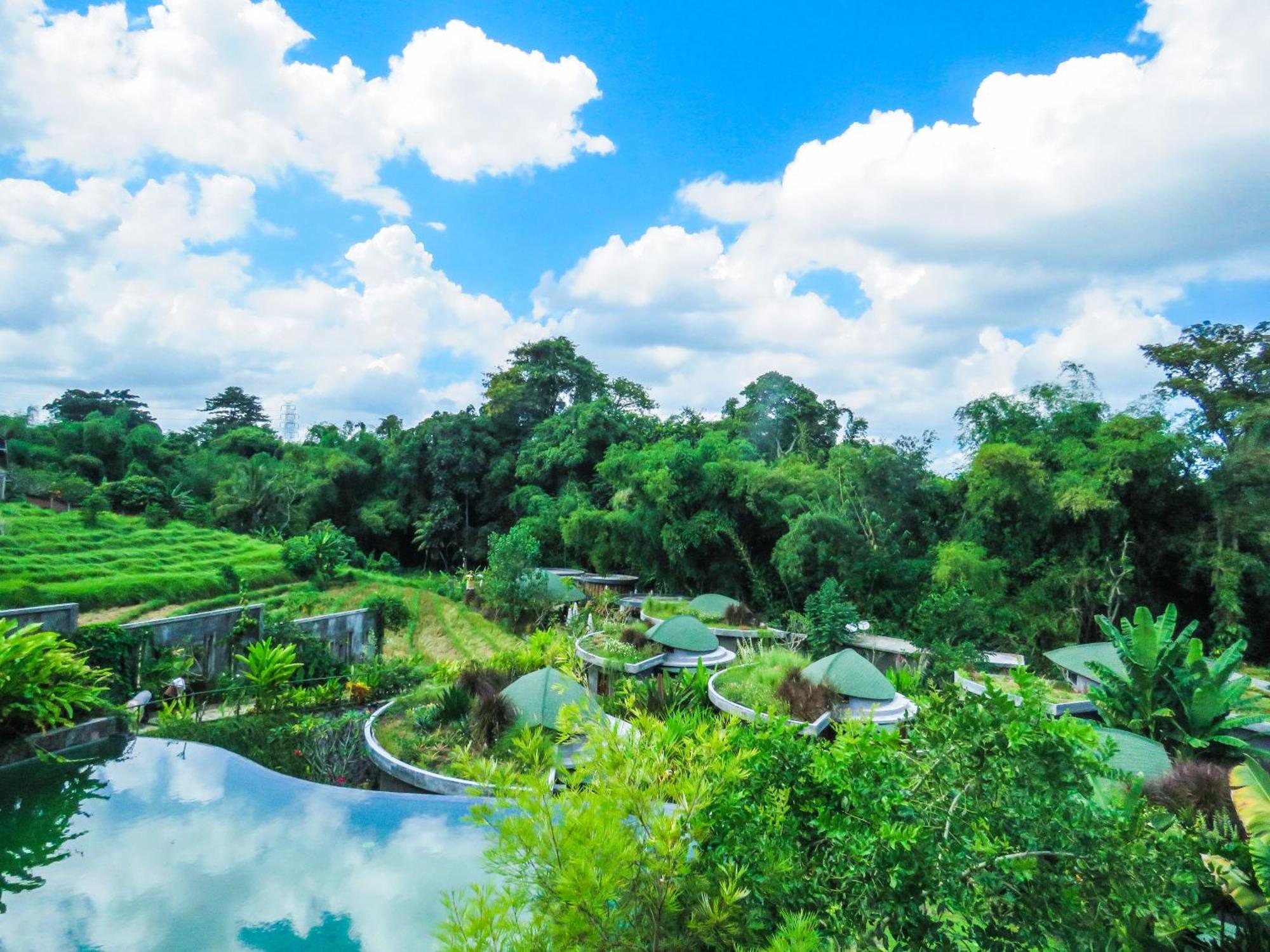 De Moksha Eco Friendly Boutique Resort Танах Лот Номер фото