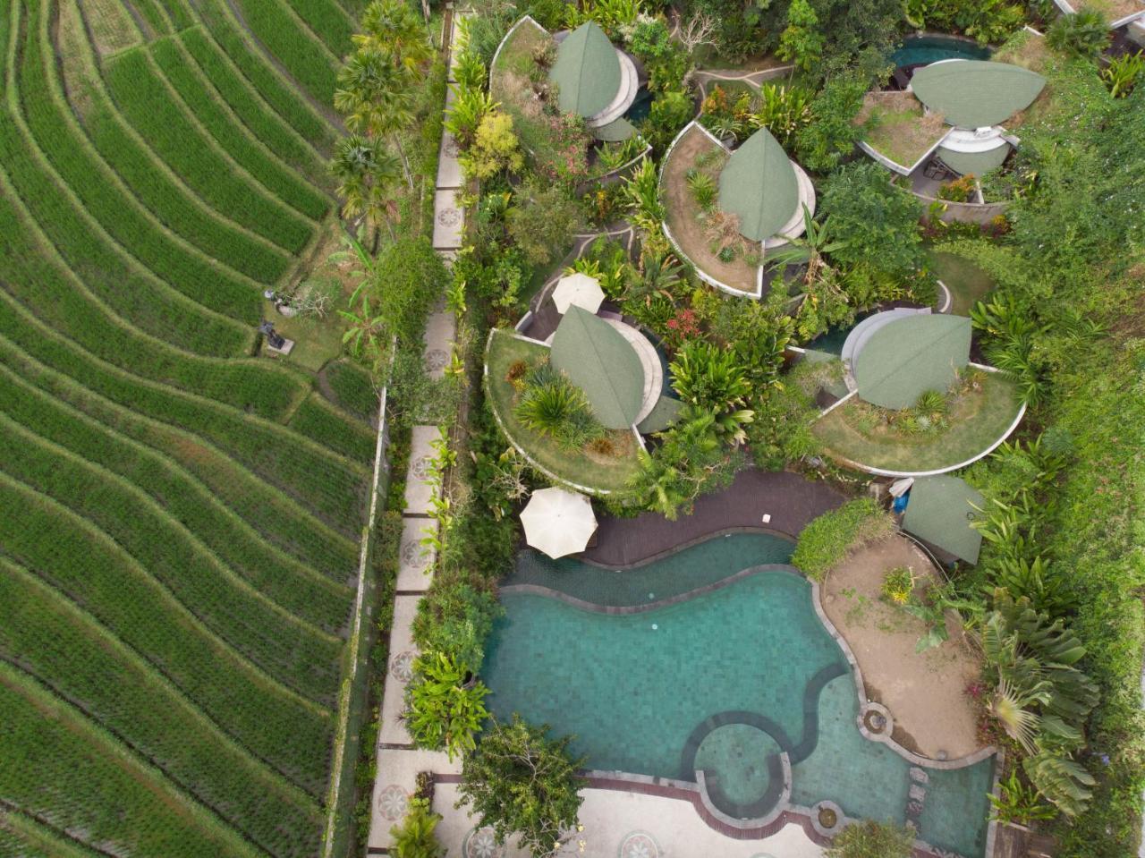 De Moksha Eco Friendly Boutique Resort Танах Лот Экстерьер фото